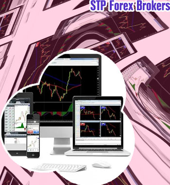 Best stp forex brokers