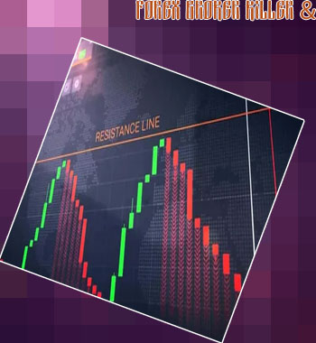 Forex broker killer contact details