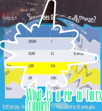 How much is 1 pip in forex