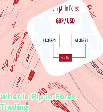 What is pips in forex