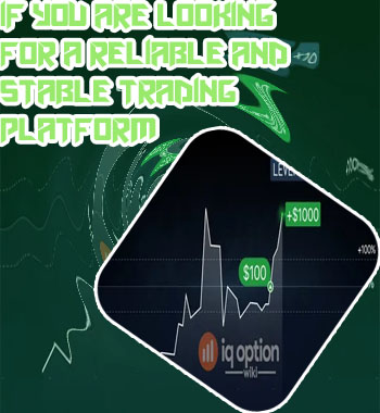 Which forex broker has the highest leverage in hindi